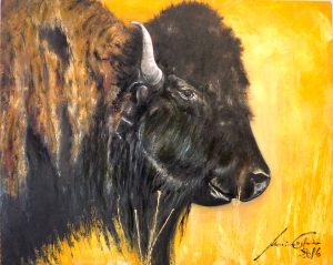 il-bisonte