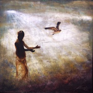 vola-in-liberta